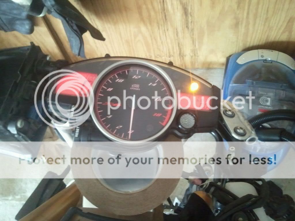 yamaha r6 servo eliminator